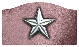 DASHELL-430-SL-OR Star Silver-Orchid